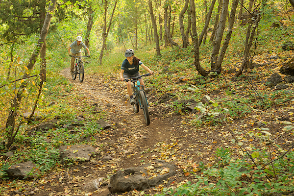 students biking in the woods