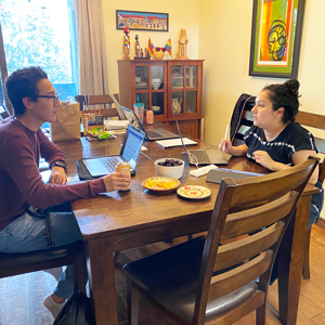 Students working in Melanie's house