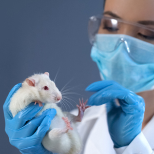 Student holding a rat in laboratory.