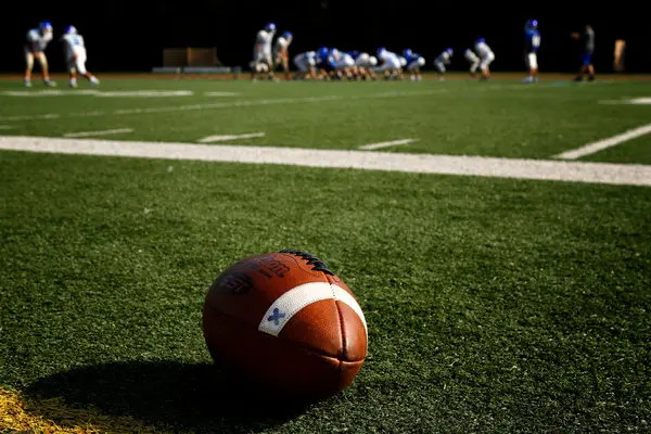 Why sports parents sometimes behave so badly. THE NEW YORK TIMES.