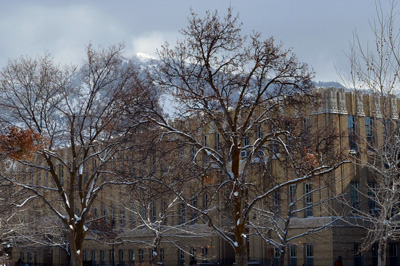 Family Life Building