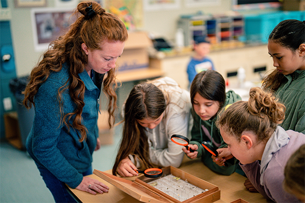 A teacher and several students look through magnifying glasses at pinned insects in a classroom