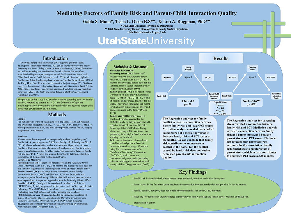 Meditating Factors of Family Risk and Parent-Child Interaction Quality