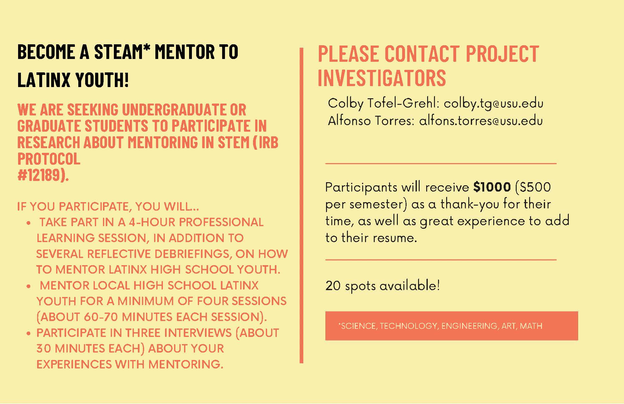 Recruitment flyer for mentors
